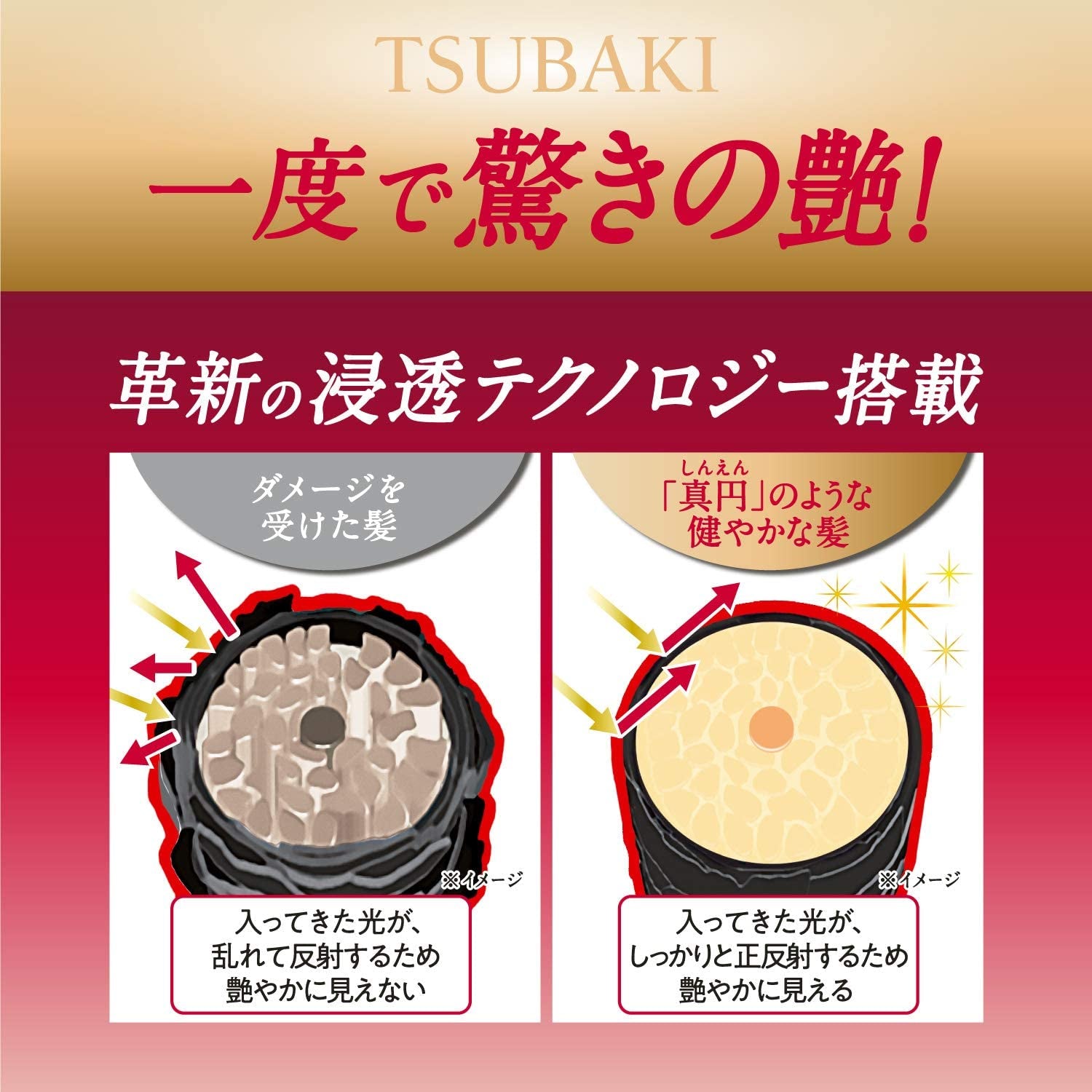 Tsubaki Premium Moist Hair Treatment 180G